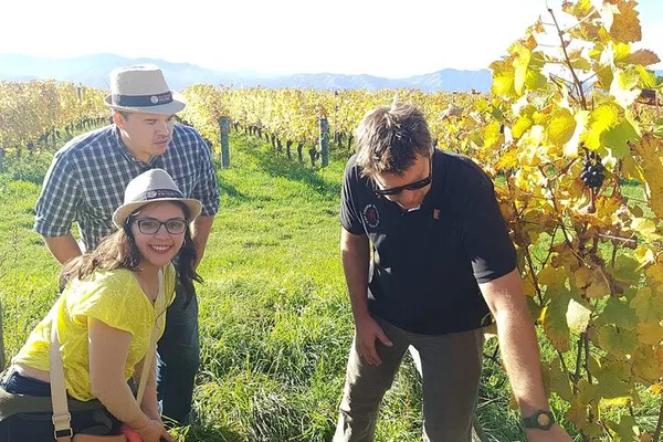 Marlborough Wine Tour from Picton: Private & Guided!