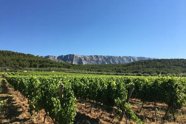 Aix-en-Provence & Côtes de Provence Wine Tour: Taste of Provence
