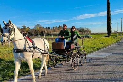 Lazise Lakeside Leisure: Horse Carriage, Wine, and Countryside Charms!