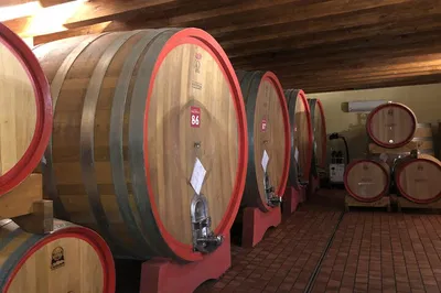 Etna Wine Tour: Volcanic Landscapes & Sicilian Wine Tasting Adventure