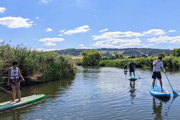 Avon River SUP Safari: Beginner's Paddle into Tranquility