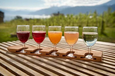 Fjord & Cider Adventure: A Sensory Feast from Vossevangen