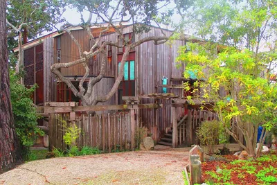 Carmel-by-the-Sea's Hidden Gems: A Self-Guided Audio Adventure