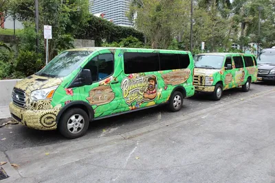 Everglades & Miami Tour: Small Group, Big Adventure!