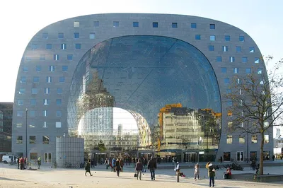 Explore Rotterdam Like a Local: A Private Bike Adventure