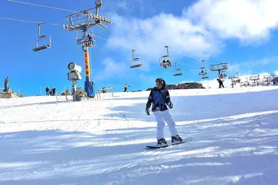 Mt Buller Snow Tour: Private Ski Trip from Melbourne