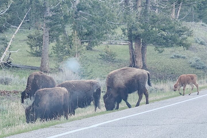 Experience Image img4