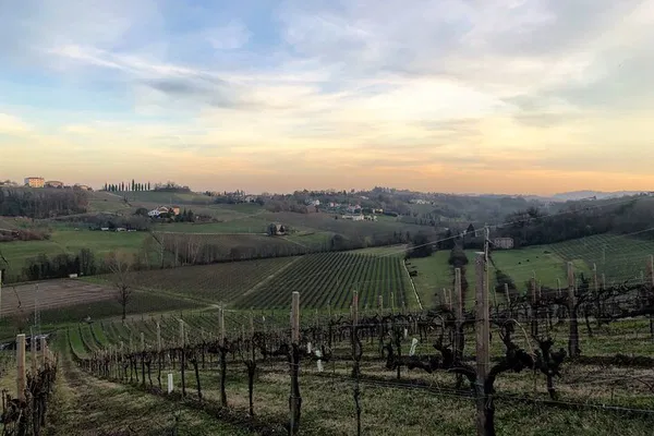 Discover Prosecco Hills: A Venetian Food & Wine Dream
