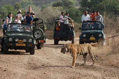 Event Image Unveiling India's Majesty: 8-Day Golden Triangle & Ranthambore Tiger Safari
