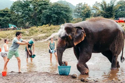 Taj Mahal Sunrise Tour: Agra's Wonders & Elephant Care