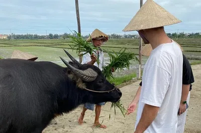 Hoi An's Rustic Charm: A Half-Day Rural Adventure by Bike & Buffalo!