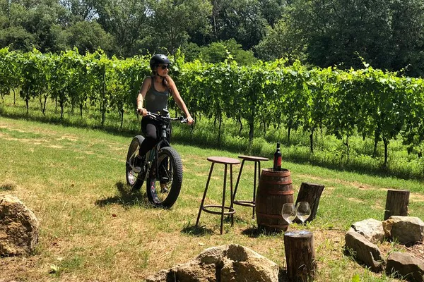 E-Bike Wine Tour: Montepulciano's Vineyards & Tastings