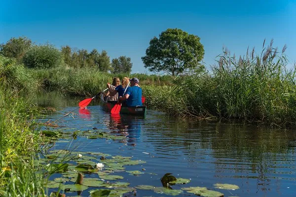 Amsterdam's Fresh Nose Canoe Tour: Nature's Quiet Escape