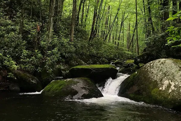Unveiling Appalachian's Hidden Waterfalls: A Guided Hiking Expedition