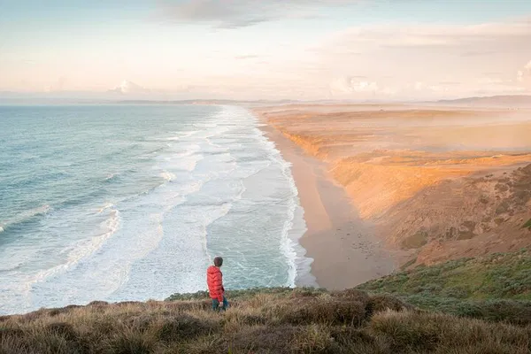 Golden Gate to Giant Redwoods: San Francisco's Ultimate Nature Day Trip