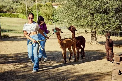 Alpaca Farm Adventure: Walk & Connect in Chianciano Terme