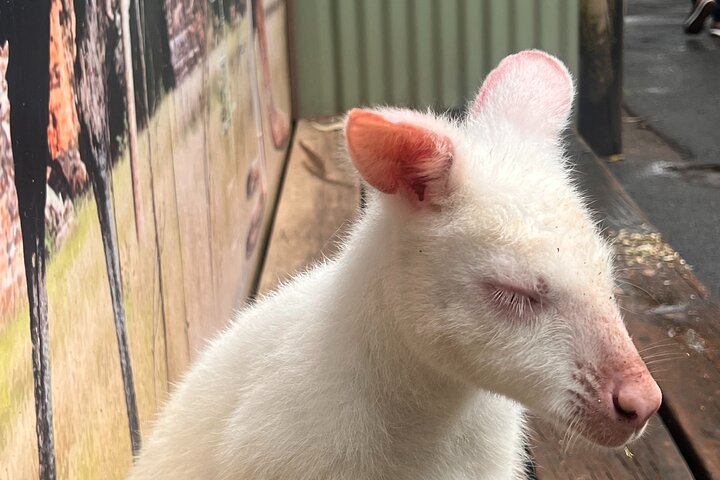 Experience Image img1