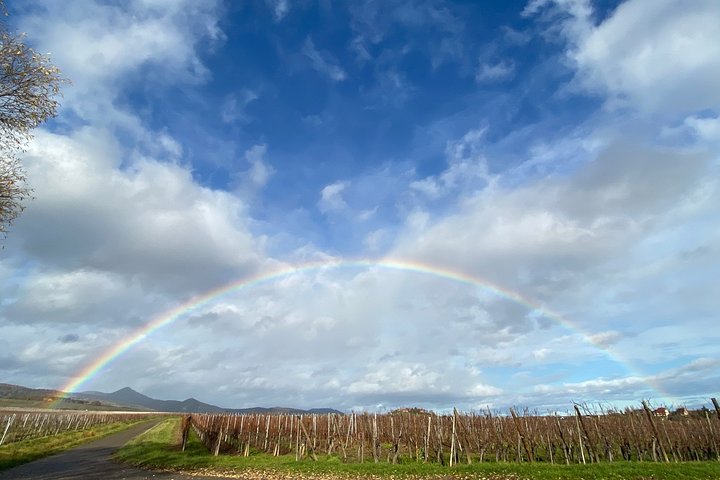 Experience Image img1