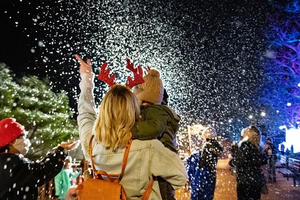 DC's Winter City Lights: Holiday Magic Awaits!