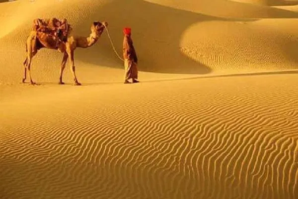 Thar Desert Adventure: Camel Safari, Music & Starlit Camping