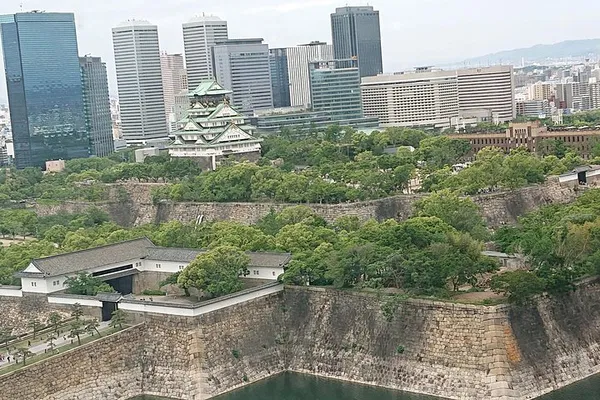Uncover Osaka's Soul: A Day of Castles, Cuisine, and Culture!
