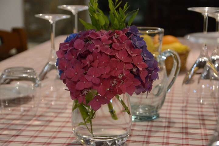 Experience Image img4