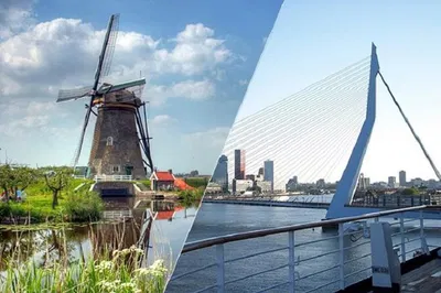 Uncover Dutch Marvels: A Private Day Trip to Rotterdam and The Hague