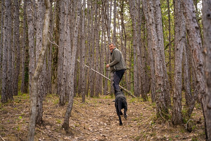 Experience Image img1