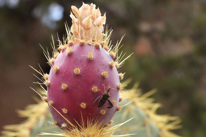 Experience Image img1