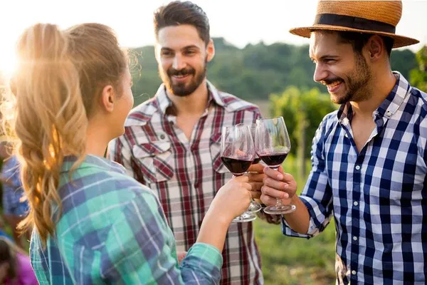 Muir Woods & Wine Country Escape: Giants & California Vines Await!