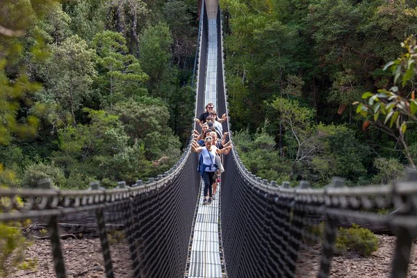 Tasmania Active Day Tour: Airwalk, Caves & Thermal Spring