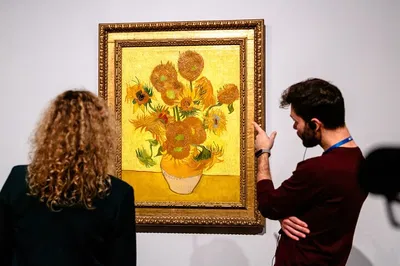 Unveiling Van Gogh's Genius: A Guided Amsterdam Museum Tour