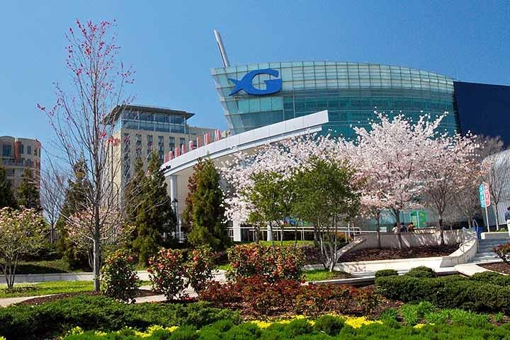 Experience Image img1