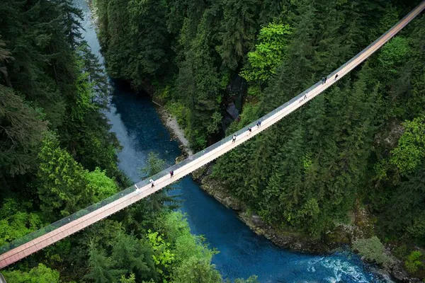 Capilano Bridge: Thrilling Rainforest Adventure Near Vancouver!
