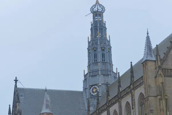 Discover Haarlem: A Captivating Historical Walking Tour
