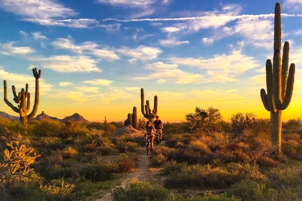Desert E-Bike Tour: Explore Arizona's Wild Beauty