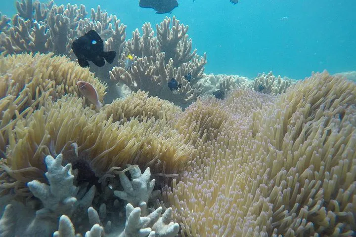 img0