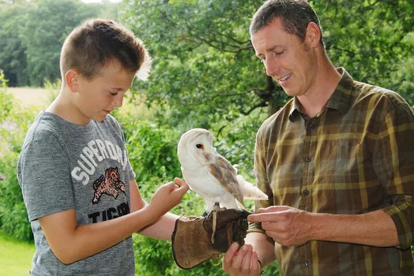 Unleash Your Inner Falconer: A Private Family Bird of Prey Adventure in Carlisle