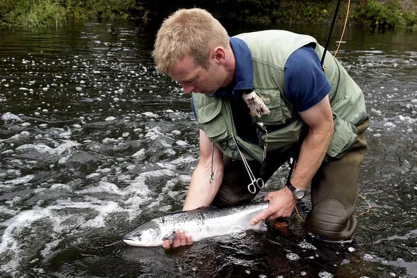 Cast Away on the Erriff: An Exclusive Salmon & Sea Trout Fly Fishing Adventure