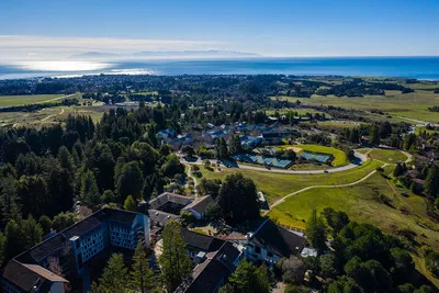 Discover UCSC's Secrets: A Self-Guided Walking Adventure