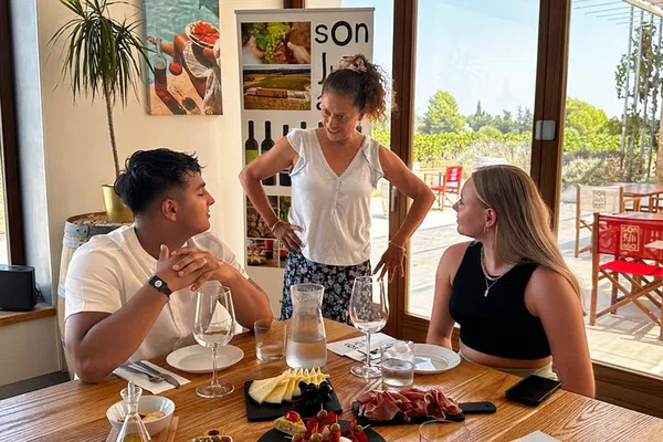 Mallorca Wine Tour: Taste Local Treasures!