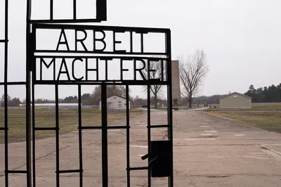Berlin & Sachsenhausen: A Reflective Shore Excursion from Warnemünde/Rostock