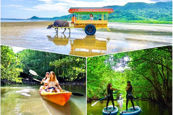 Iriomote Island Adventure: SUP, Canoe & Yubujima Island Tour