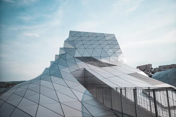 Unveiling Lyon's Architectural Tapestry: A Local's Private Tour