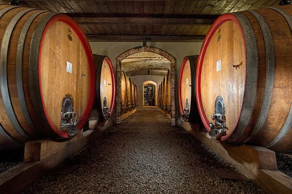 Unveiling Langhe: A Journey Through Piedmont's Finest Wines