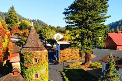 Unveiling Russian River Valley & Giant Redwoods: A Private Escape
