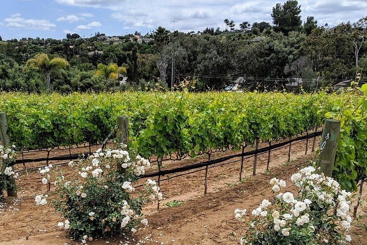 Experience Image img4