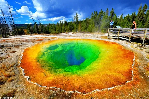 Yellowstone & Rushmore 6-Day Tour from Salt Lake City