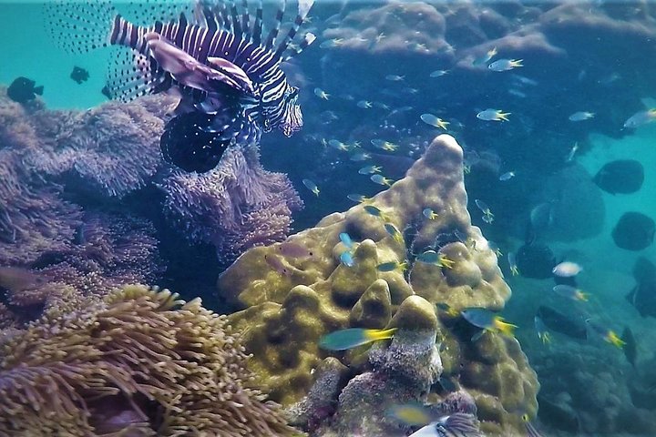 Khao Lak's Hidden Gems: Snorkeling & Seclusion Await!