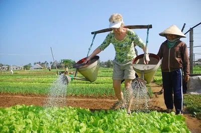 Hoi An's Countryside Unveiled: A Vespa Day Tour Adventure
